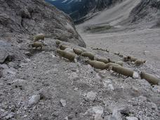 Klik za večjo sliko